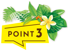 POINT3