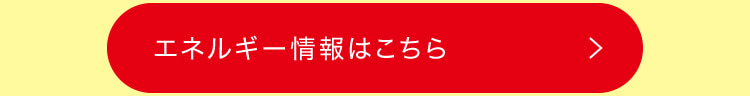 エネルギー情報はこちら