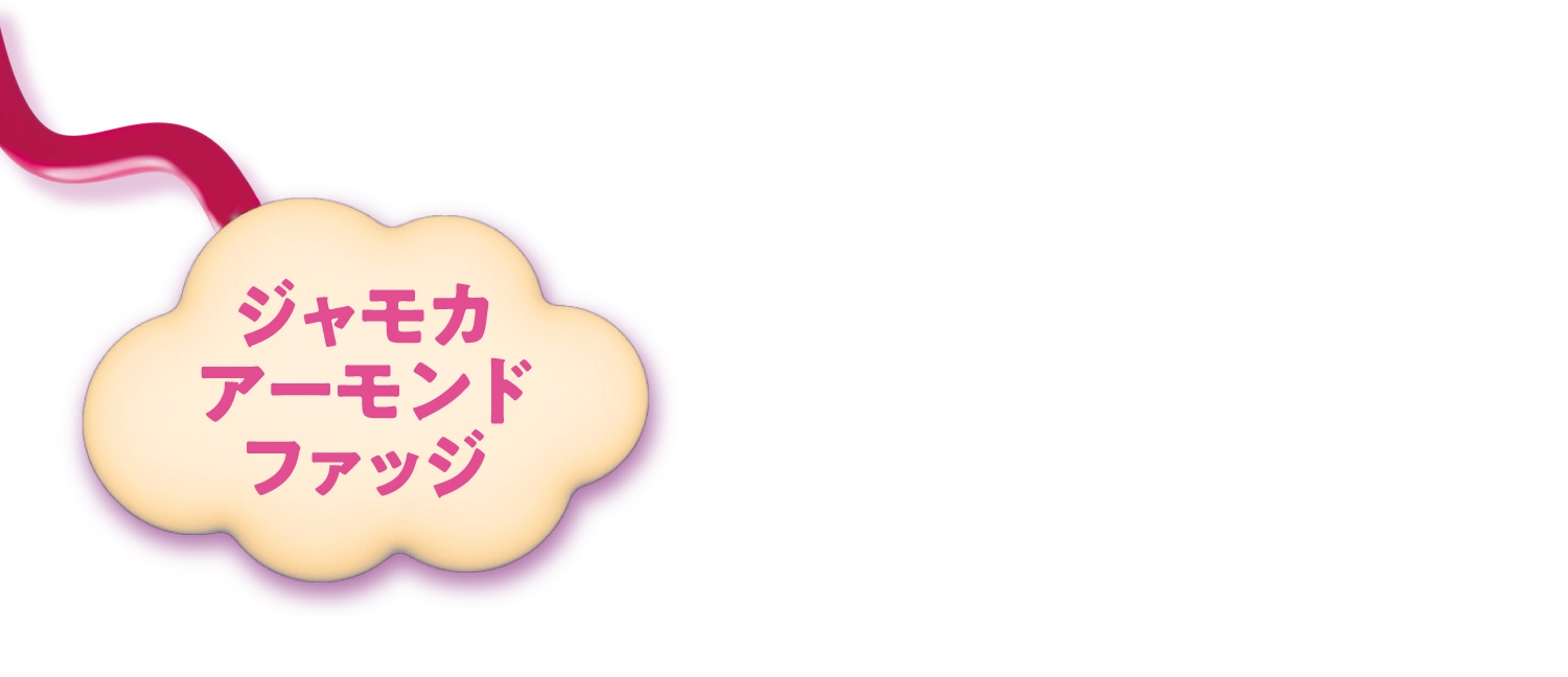 ジャモカアーモンドファッジ